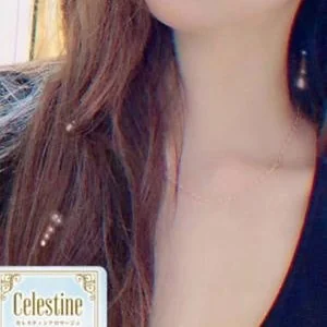 LUXEセレスティンアロマージュ 登戸