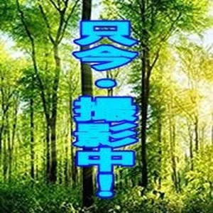 心地（ここち）